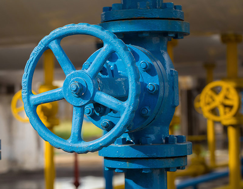 բ���ٿƼ����������ų�